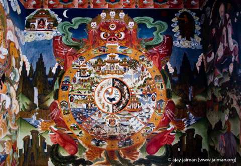 CRW_6740-m.jpg