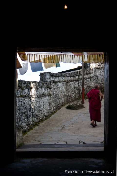 CRW_6765-m.jpg