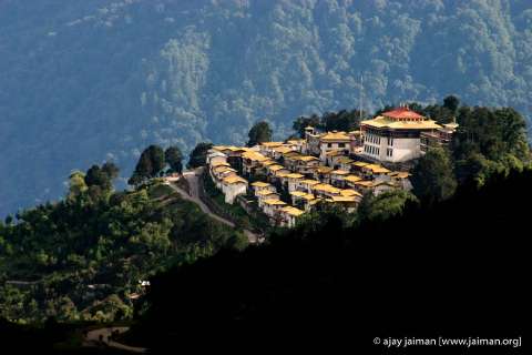 CRW_6789-m.jpg