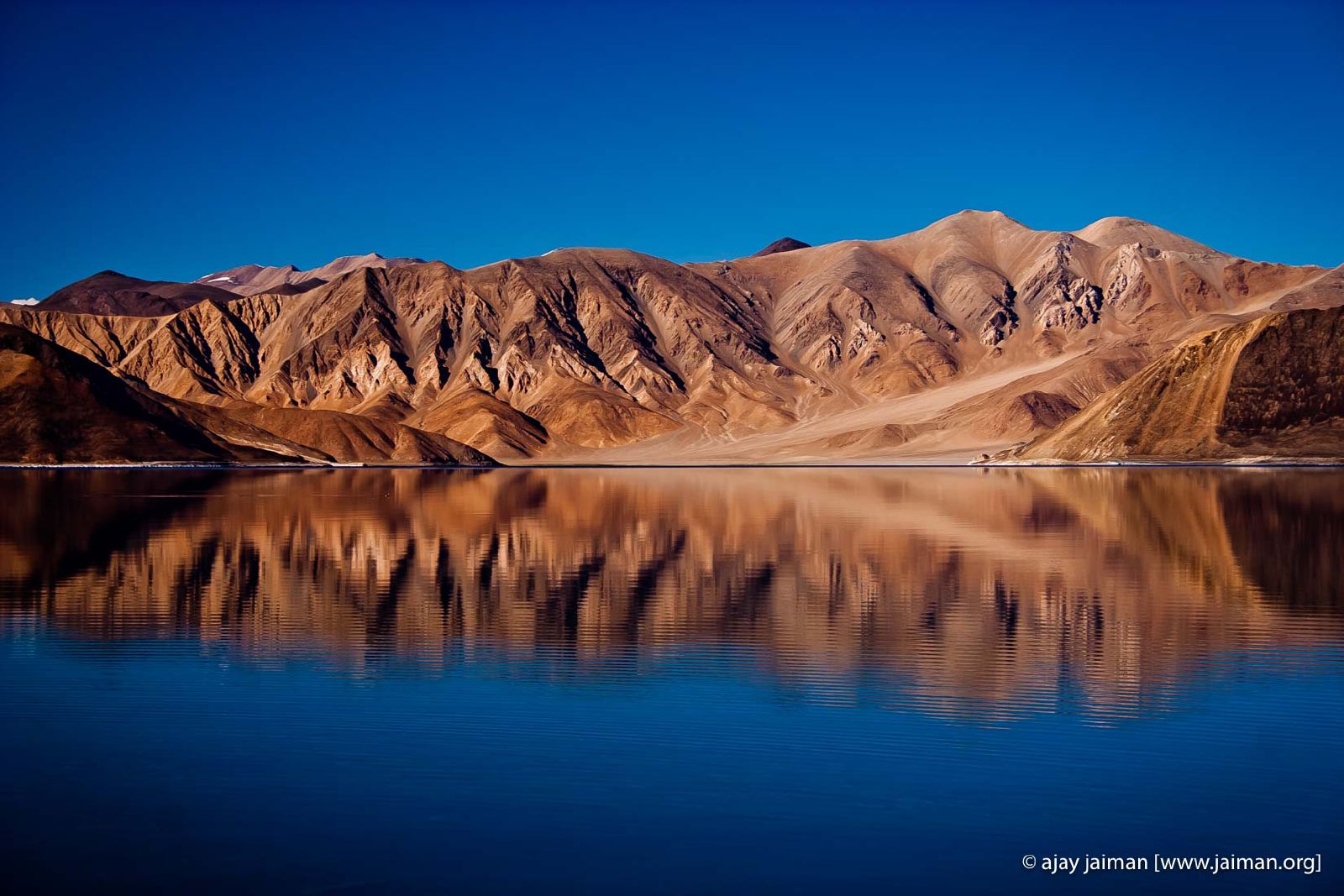 At Pangong Tso (Lake)