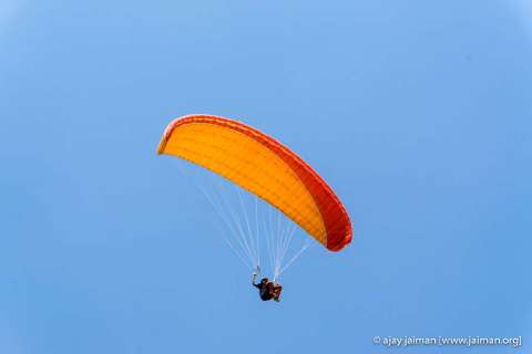 DSC02643-m.jpg