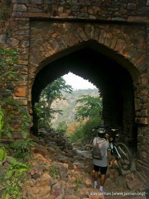 DSCN8903-m.jpg