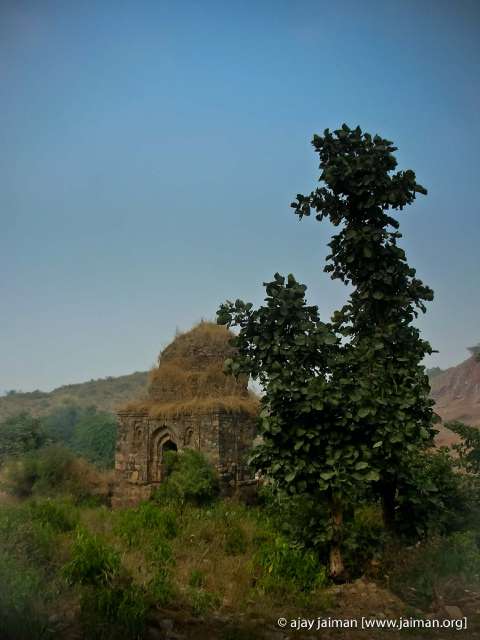 DSCN8922-m.jpg