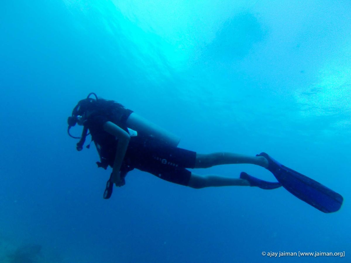 Diving into the deep blue Andaman sea