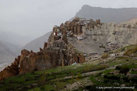 IMG_7669-m.jpg